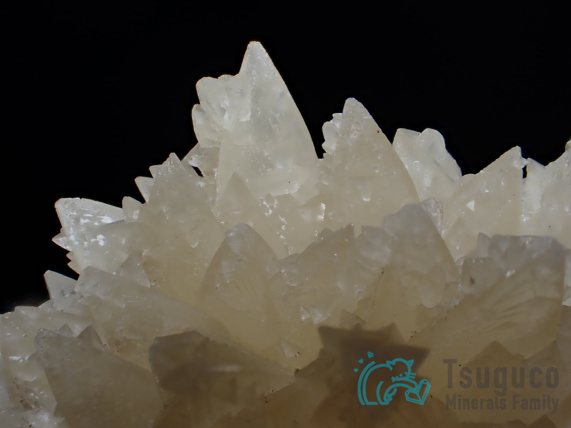 カルサイト 方解石 スペイン TM-739 | つぐこみねらるず ｜鉱物・原石