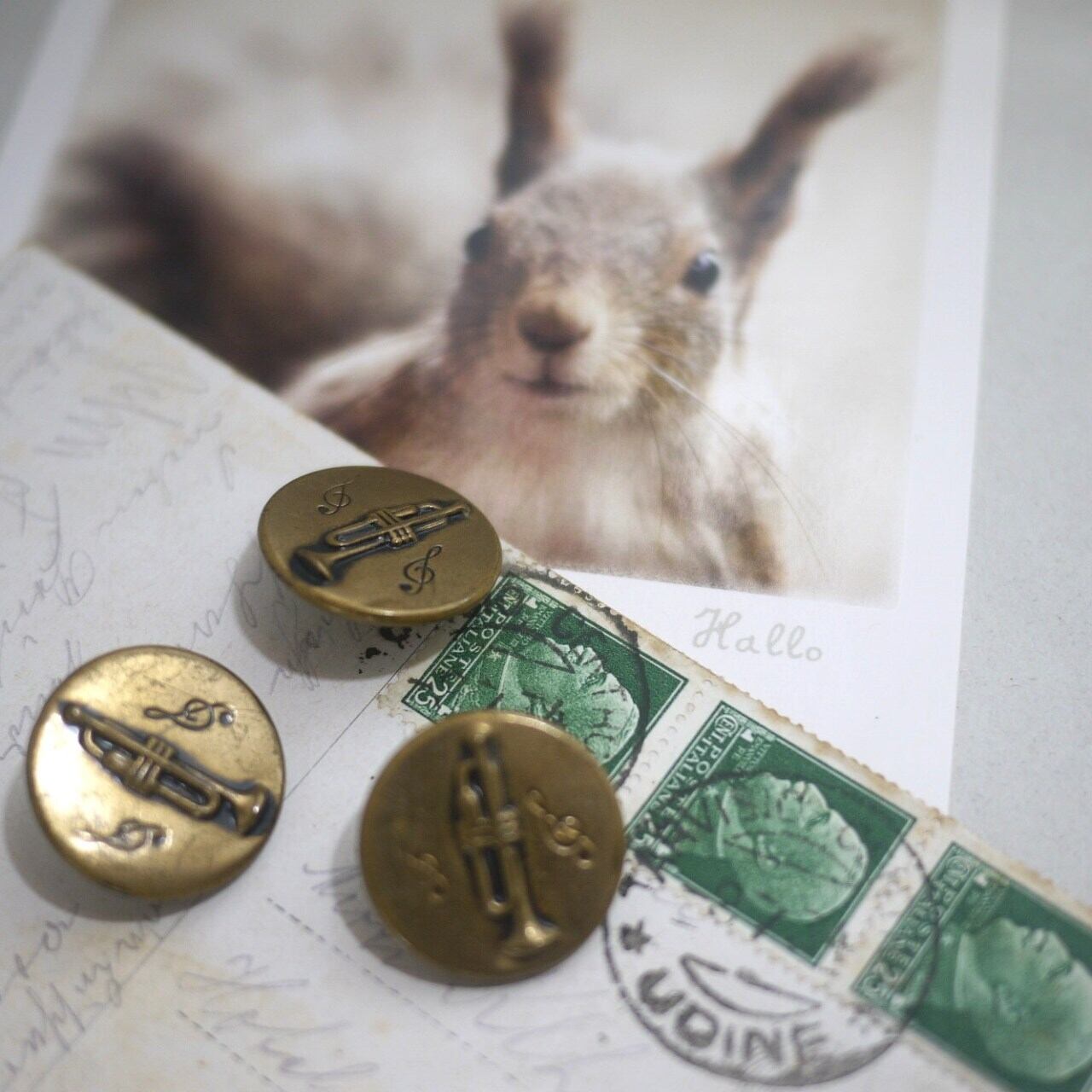 真鍮ヴィンテージボタン トランペット Φ2.3 ドイツ