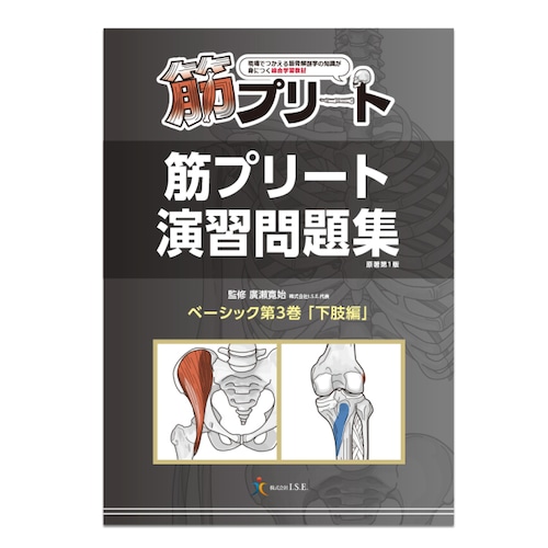 思わず、自分の筋肉の知識を確認したくなる解剖学教材 　筋プリート　演習問題集　ベーシック３巻 下肢編