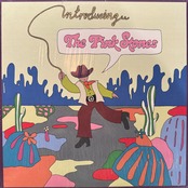 【LP】THE PINK STONES/Introducing...The Pink Stones