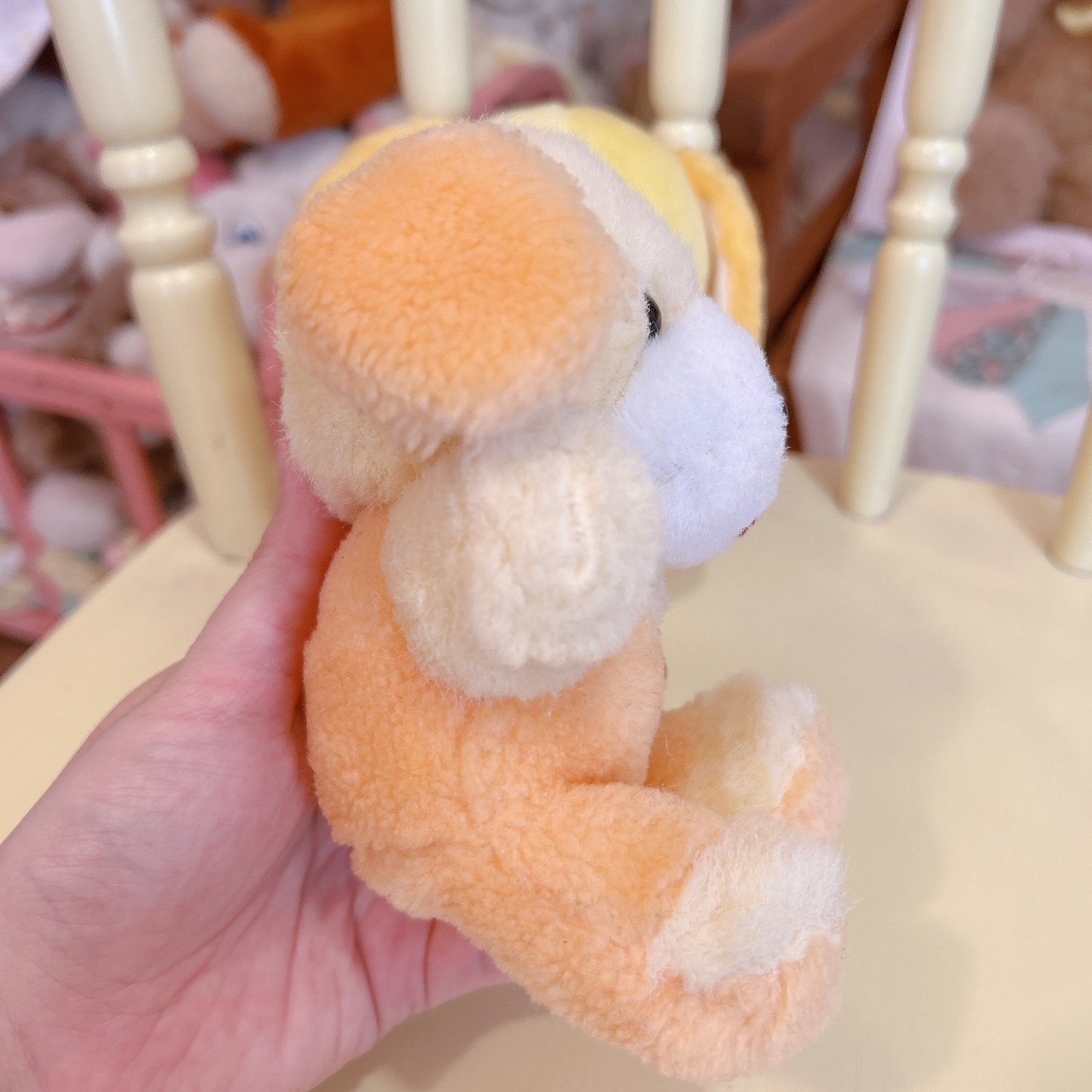 dogの画像10