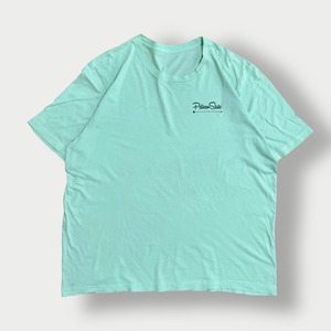 【pelican state clothing】ワンポイントロゴ バックプリント Tシャツ 専門店 ロゴ 半袖 XL相当 ビッグサイズ ペリカン ミント US古着