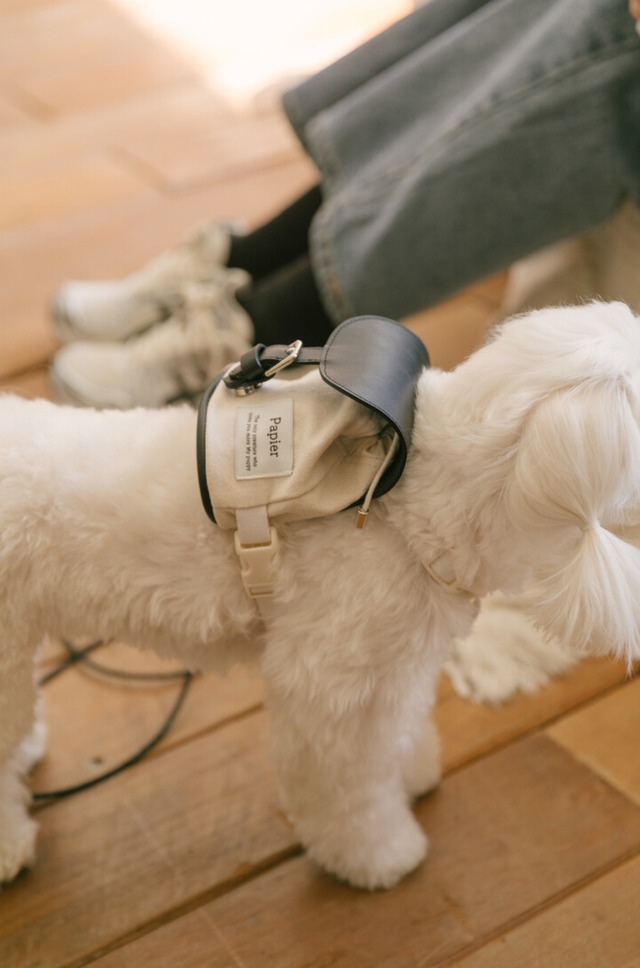 【即納】［papier］Classic Backpack Harness(ブラック・S〜M)