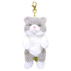 ひざねこ すやすや キーチェーン GY(9813090)