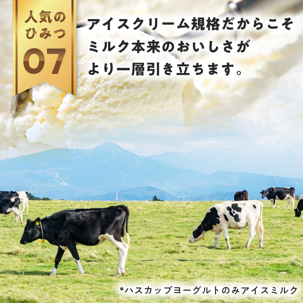 1か月定期便】毎月24個届く 季節限定フレーバー入り 10月開始分 | 951