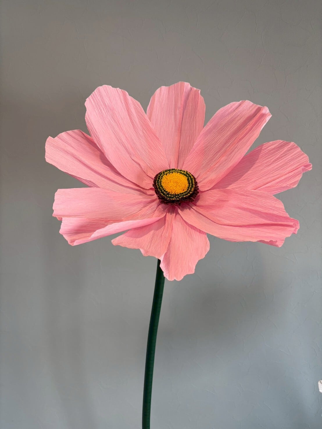 フラットフラワー Mサイズ（40cm）：ジャイアントフラワー | giantflower
