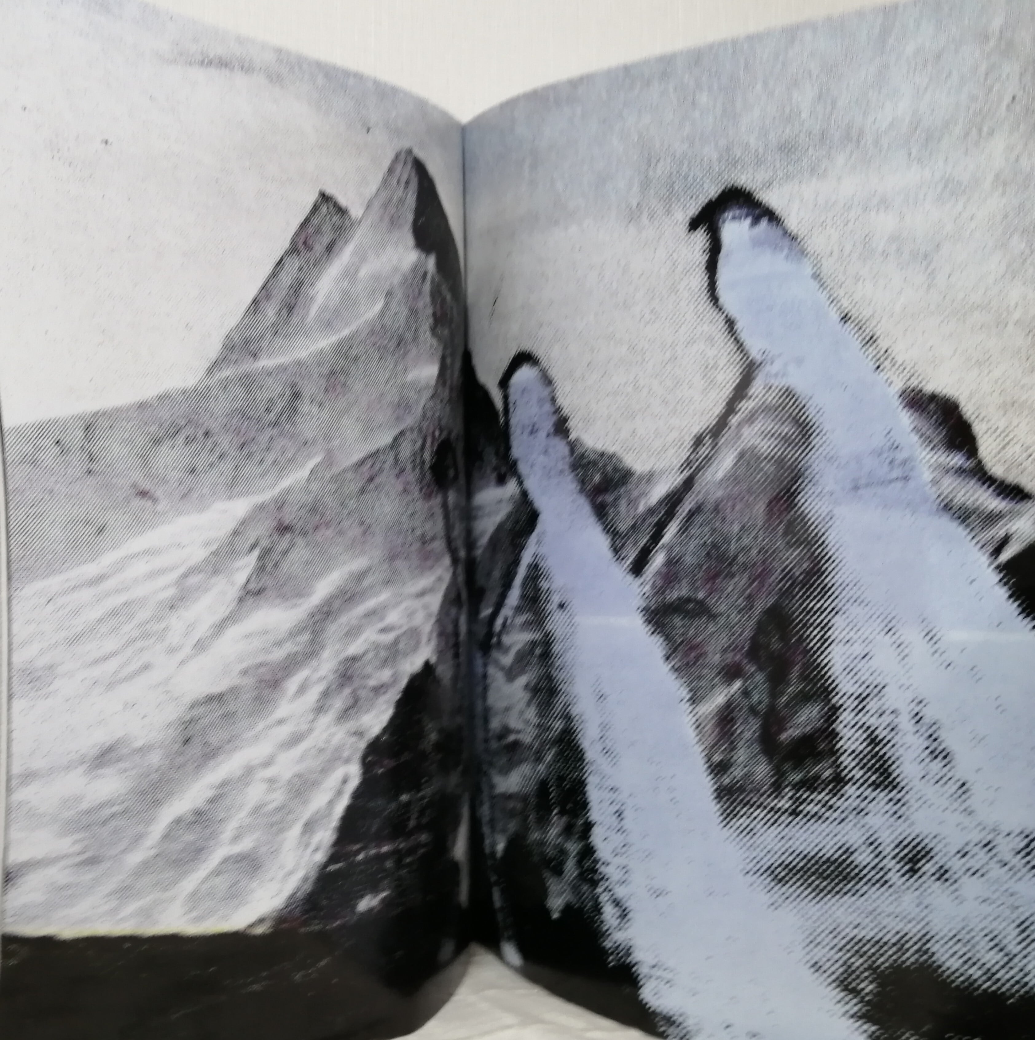 Six (Sixth sense) number5 1990 Comme des Garcons | 札幌の古書店