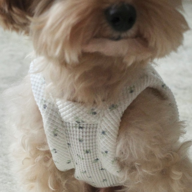 Blooming ワッフルキャミソール＆シュシュセット