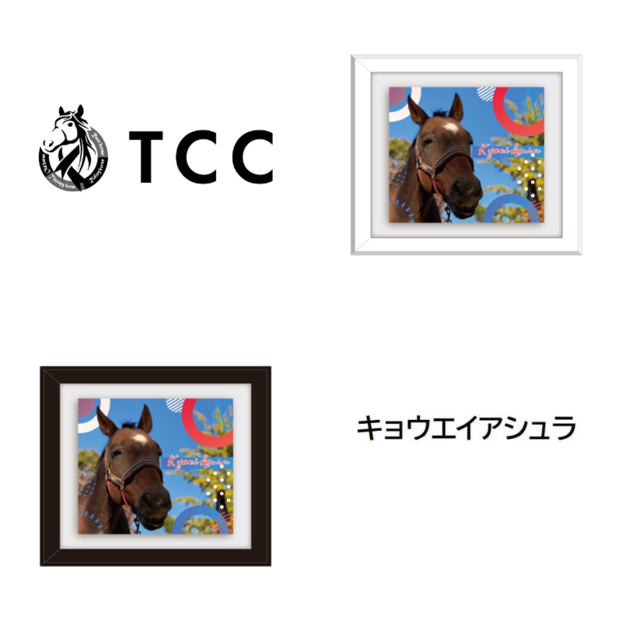 TCC x 馬Site TCCホース額縁マグネット ア～カ行