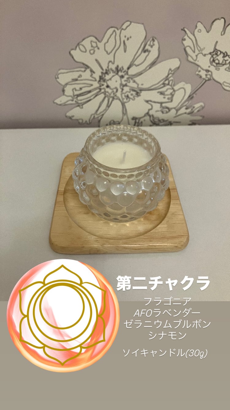 トランスフォーメーション 小分け5ml ヤングリビング | shiinokijaya