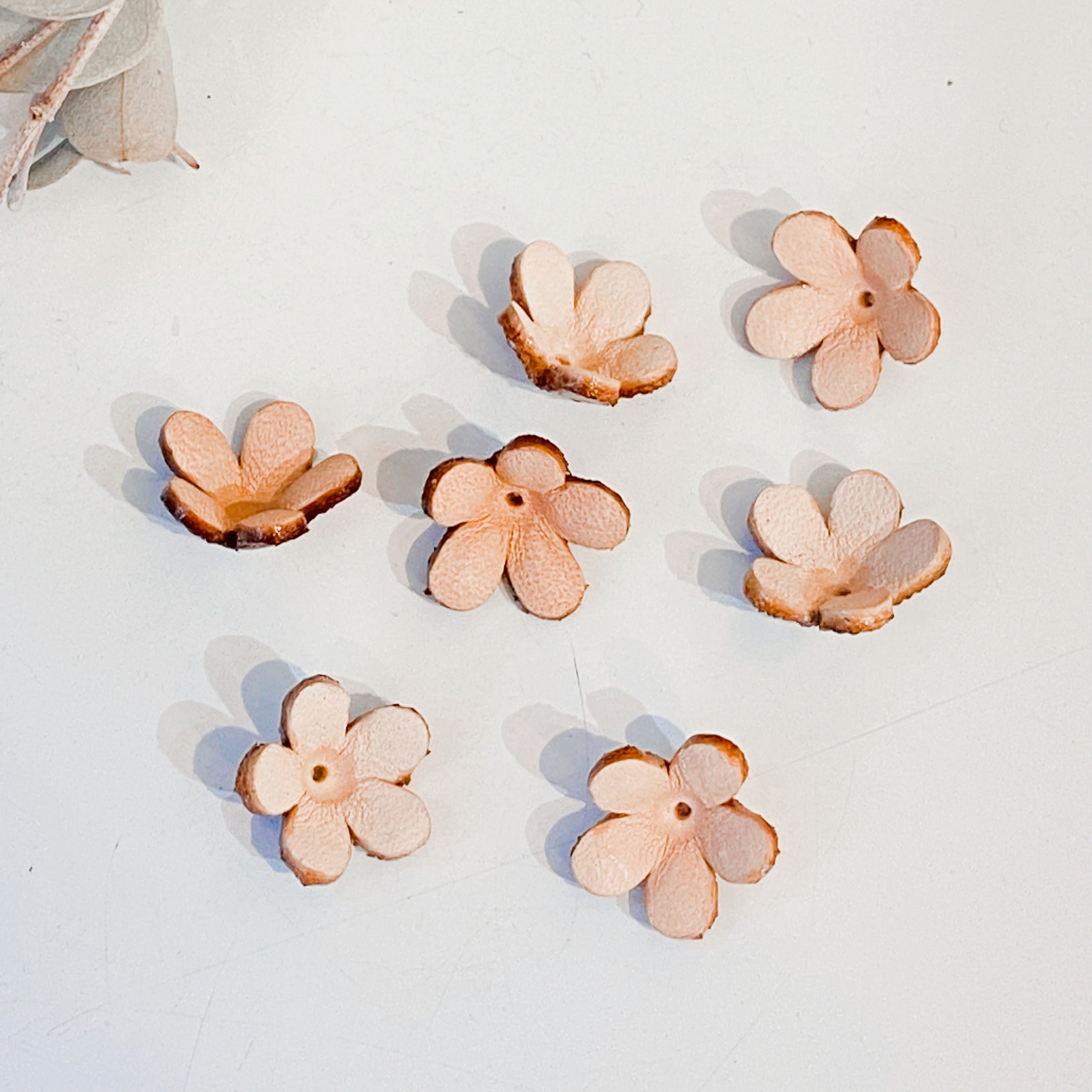 じゃすみんページ 🥀JASMINE🥀 (@JASMINE6661107) / X