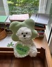 予約【tak!tak!tak!tak!】Lucky Clover Hat