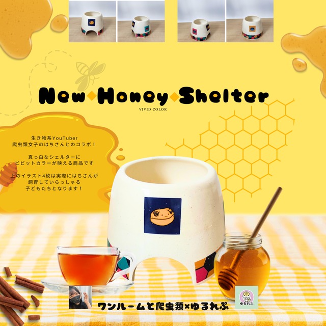 爬虫類用 極みシェルターM3個 流木4個のセット！ 爬虫類用 極み