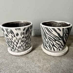 leopard & zebra flowerpot