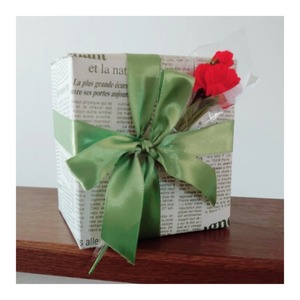 母の日用カーネーション ラッピング or 単品売り