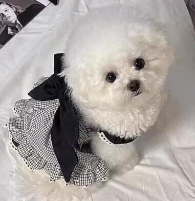 《予約》№3102121 リボンxチェックのグラデーションキャミ