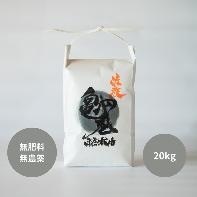 自然栽培米【亀の尾】20kg 玄米