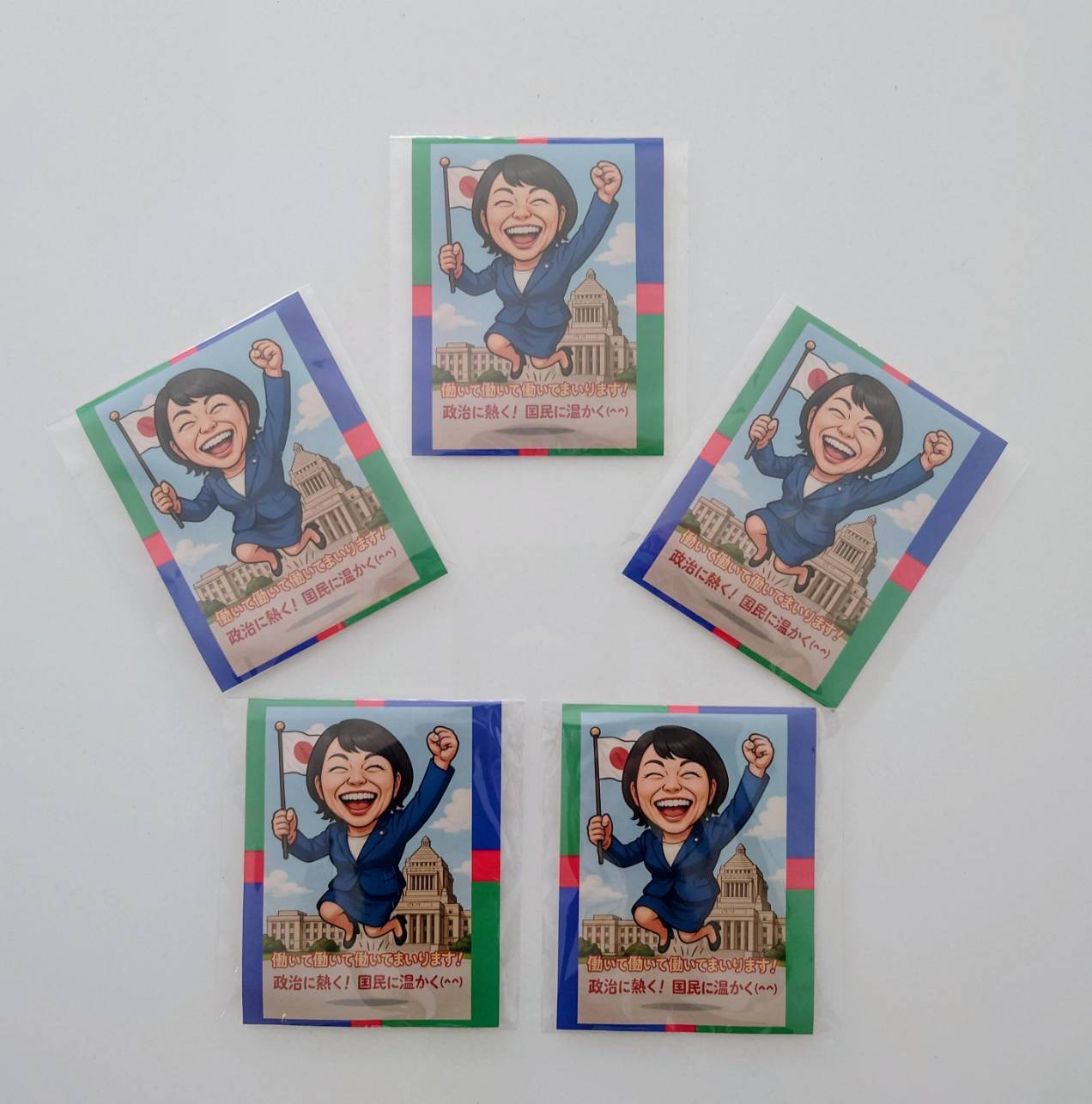 チームサナエ Veanas号公式グッズ販売ショップ〈高市早苗グッズストア〉