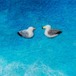 B4トート/ 出会い、冬、浜辺にて