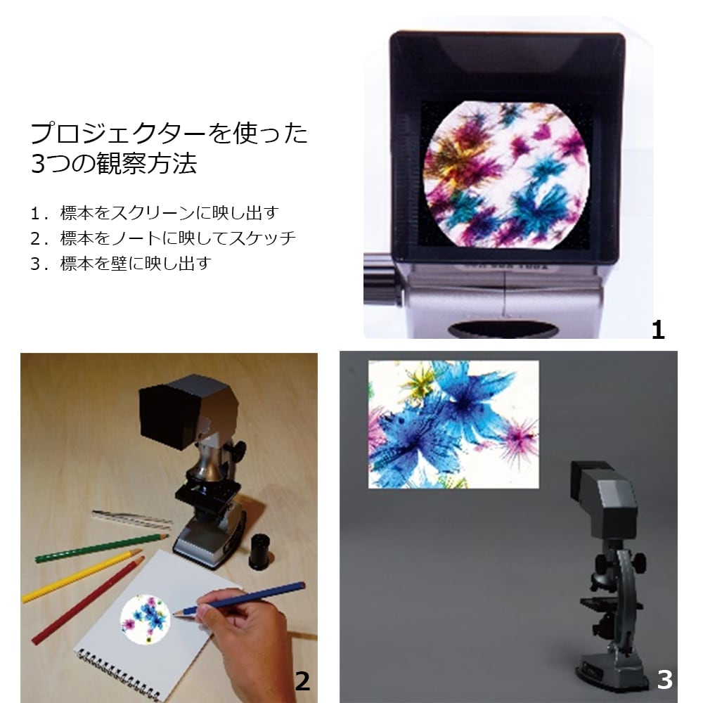 行動観察 1a9dde3f878c45cb15ddb4610eb8ed