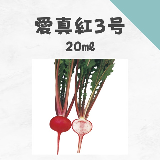 愛新紅3号　カブ種子・20ml