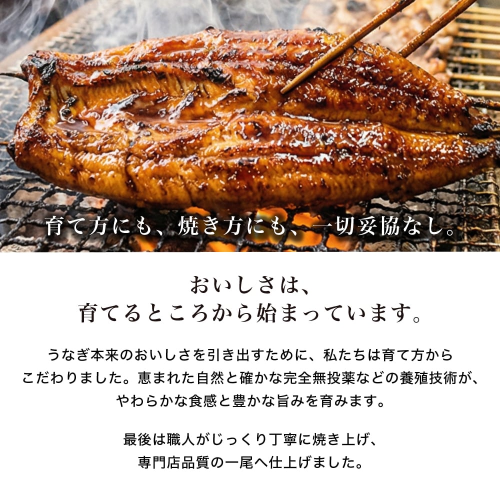 鹿児島県産 鹿屋良鰻 国産うなぎ蒲焼き 【2尾】冷凍 皮はパリッと身は