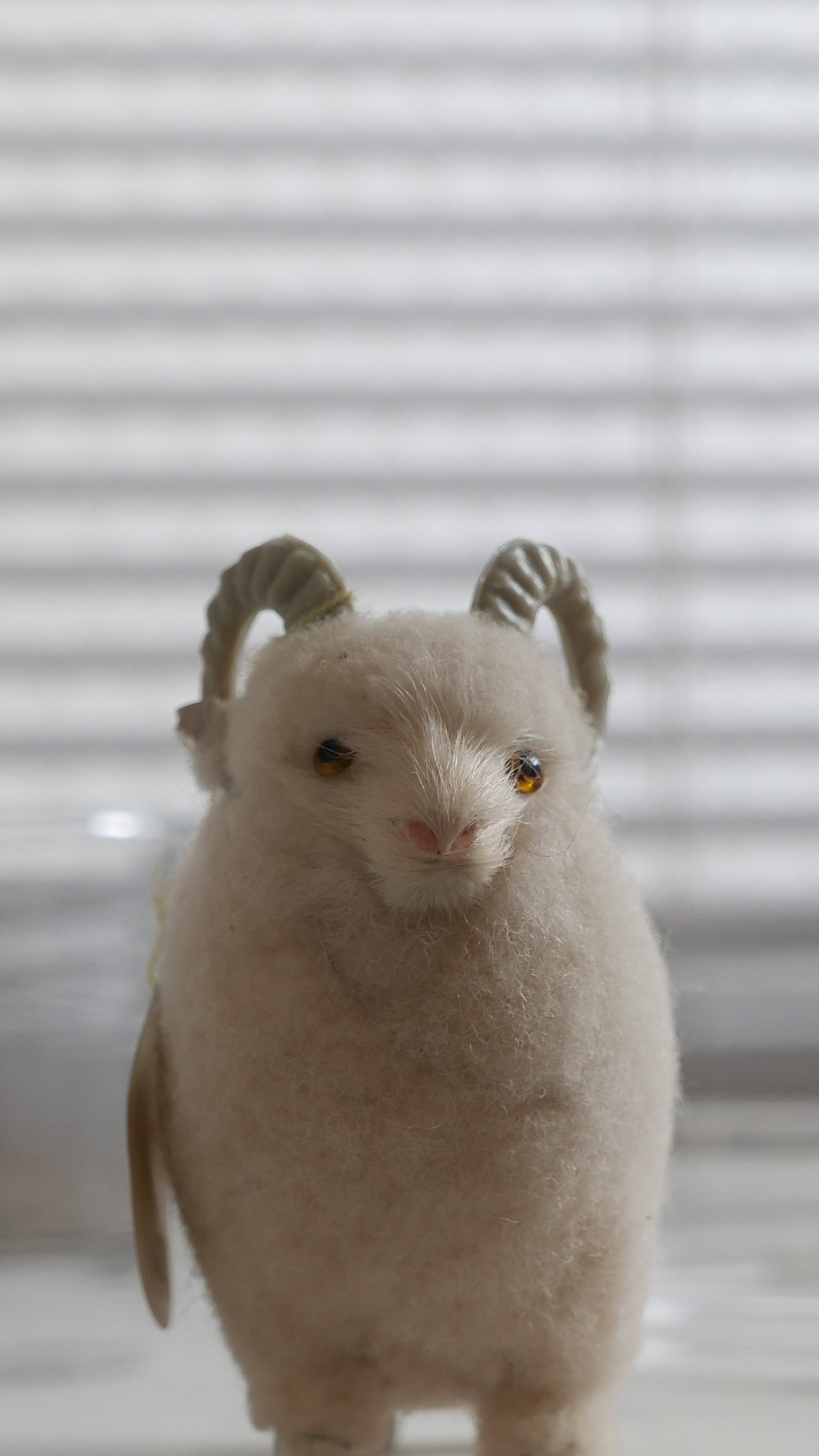 sheep object , pure wool