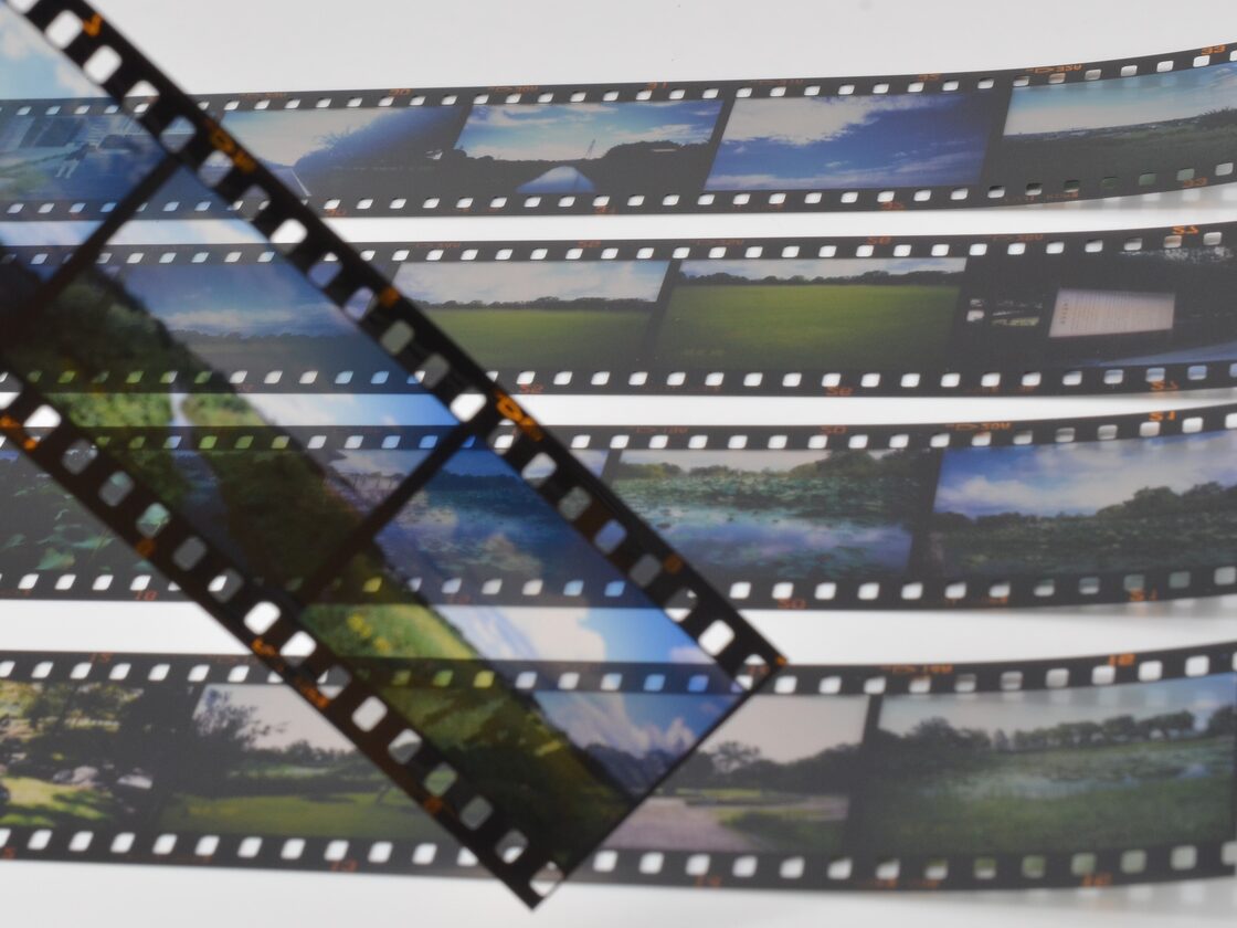 作例あり】FUJIFILM PROVIA 100F 100-36 リバーサルフィルム 36枚撮り 