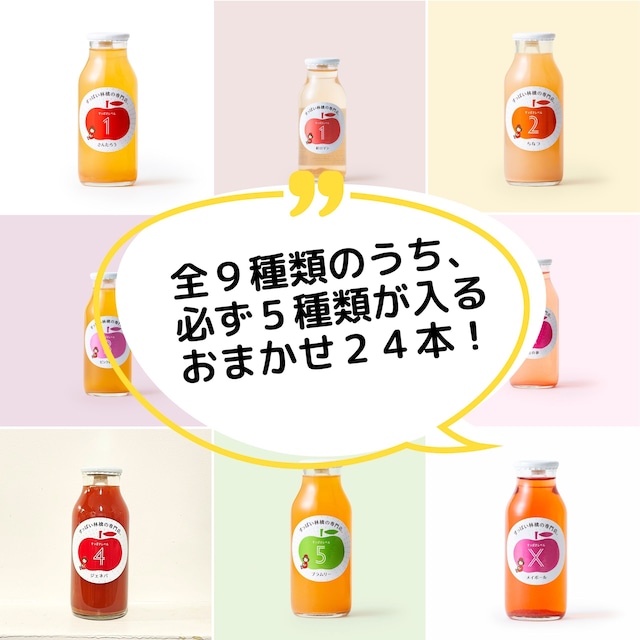 【エコ梱包】飲み比べが楽しいりんごジュース6本セット
