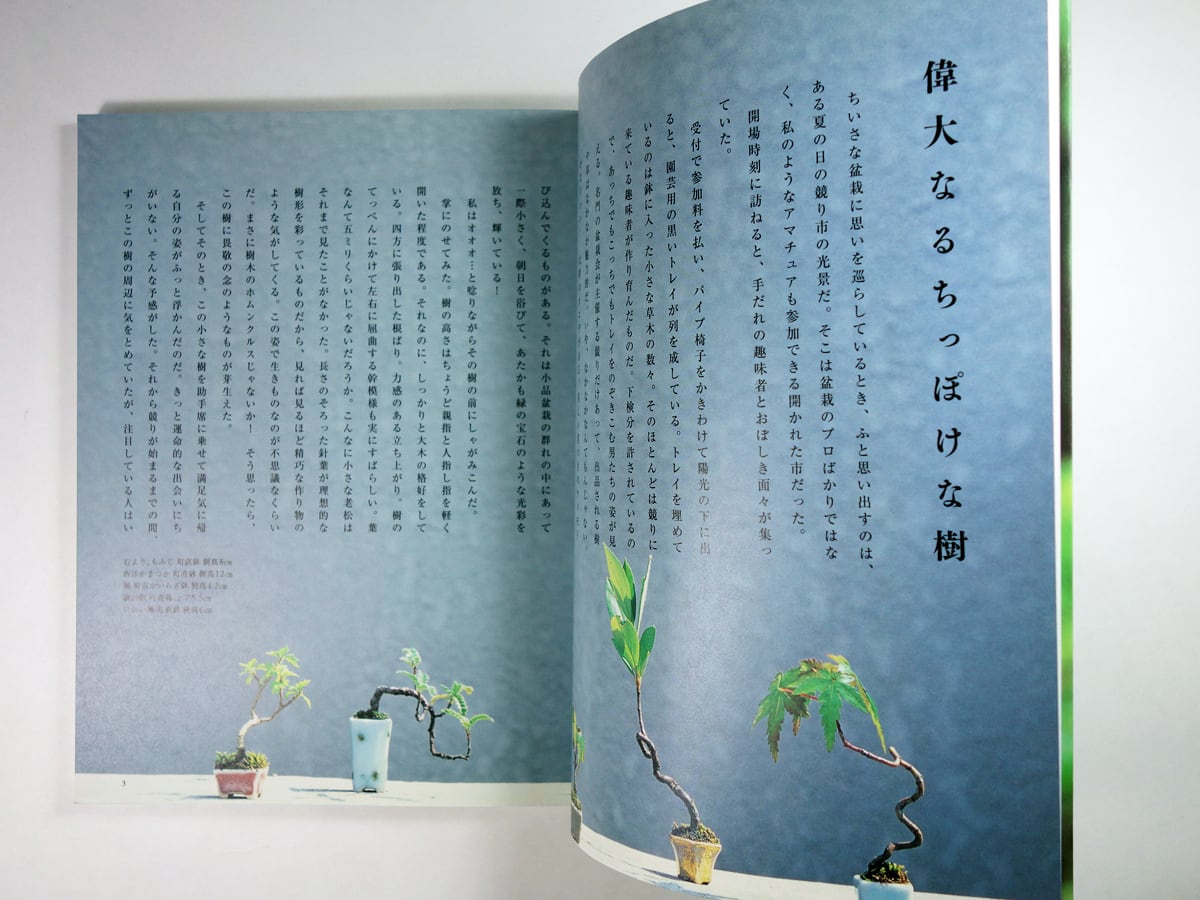 まめぼん 世界で一番ちいさな盆栽（山本順三）- コロナ・ブックス116