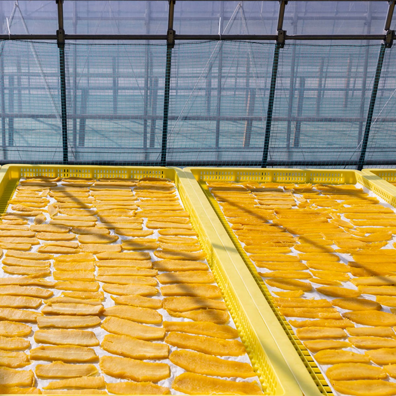 干し芋スライス　400ｇ×3個・画像5