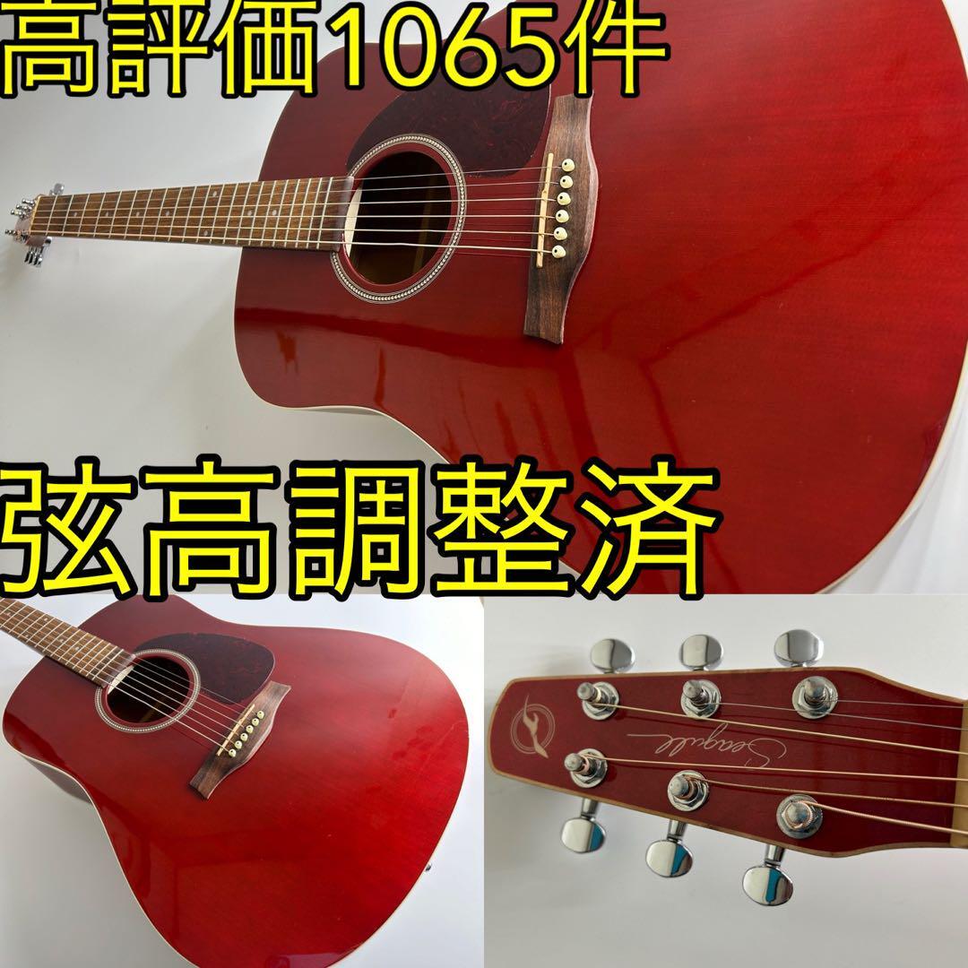 シーガル S6 Cedar Trans Red GT アコースティックギター | LiberilylMusic