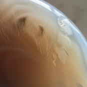 ドゥルージーアゲート4*ムーンシェイプ*月型*天然石インテリア*パワーストーン*置き物