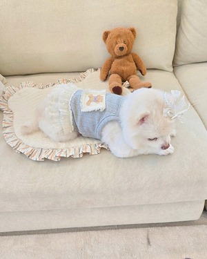 予約  【pecoramou select】Teddy bear denim  mat