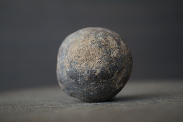 セプタリアン Septarian 1691