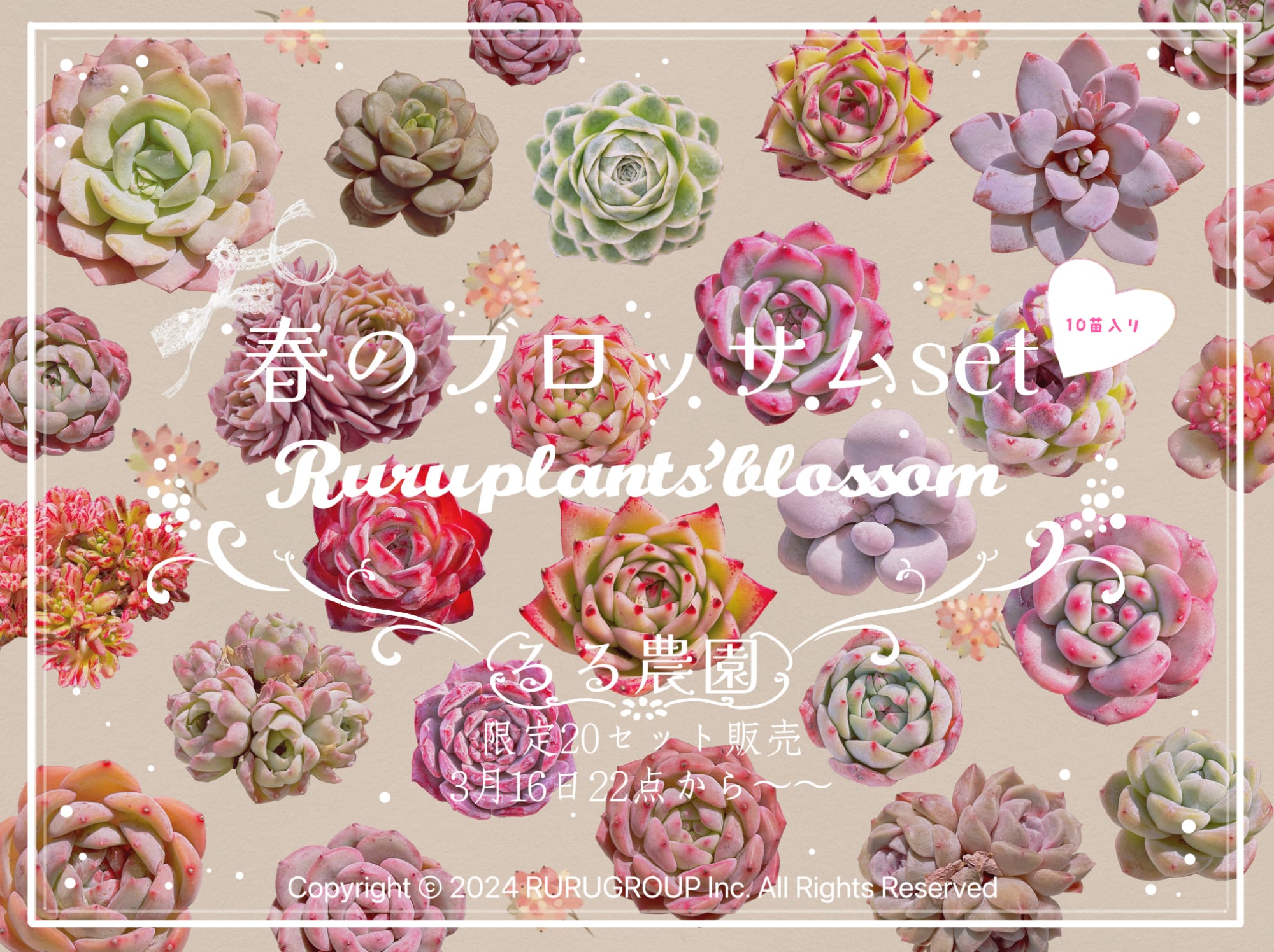 ★春のブロッサムset~10苗入り★