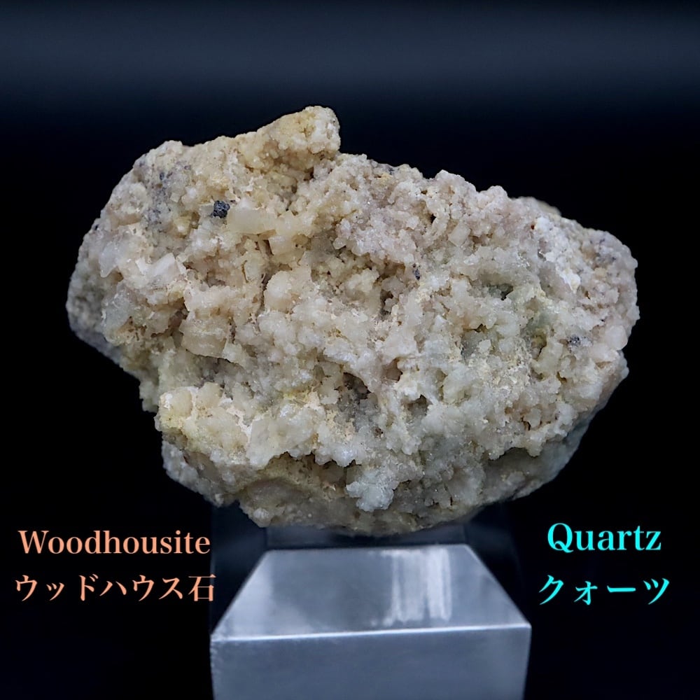 ミネラルドーム】 セプターダイヤモンド クォーツ 水晶 DOOM004 天然石