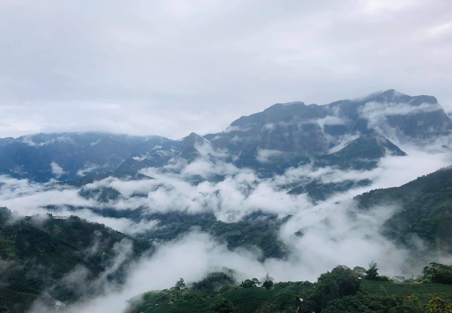 【イベント予約】「洪藝庭の台湾茶教室 」2026年3月20日(金)(祝)14:00〜16:00