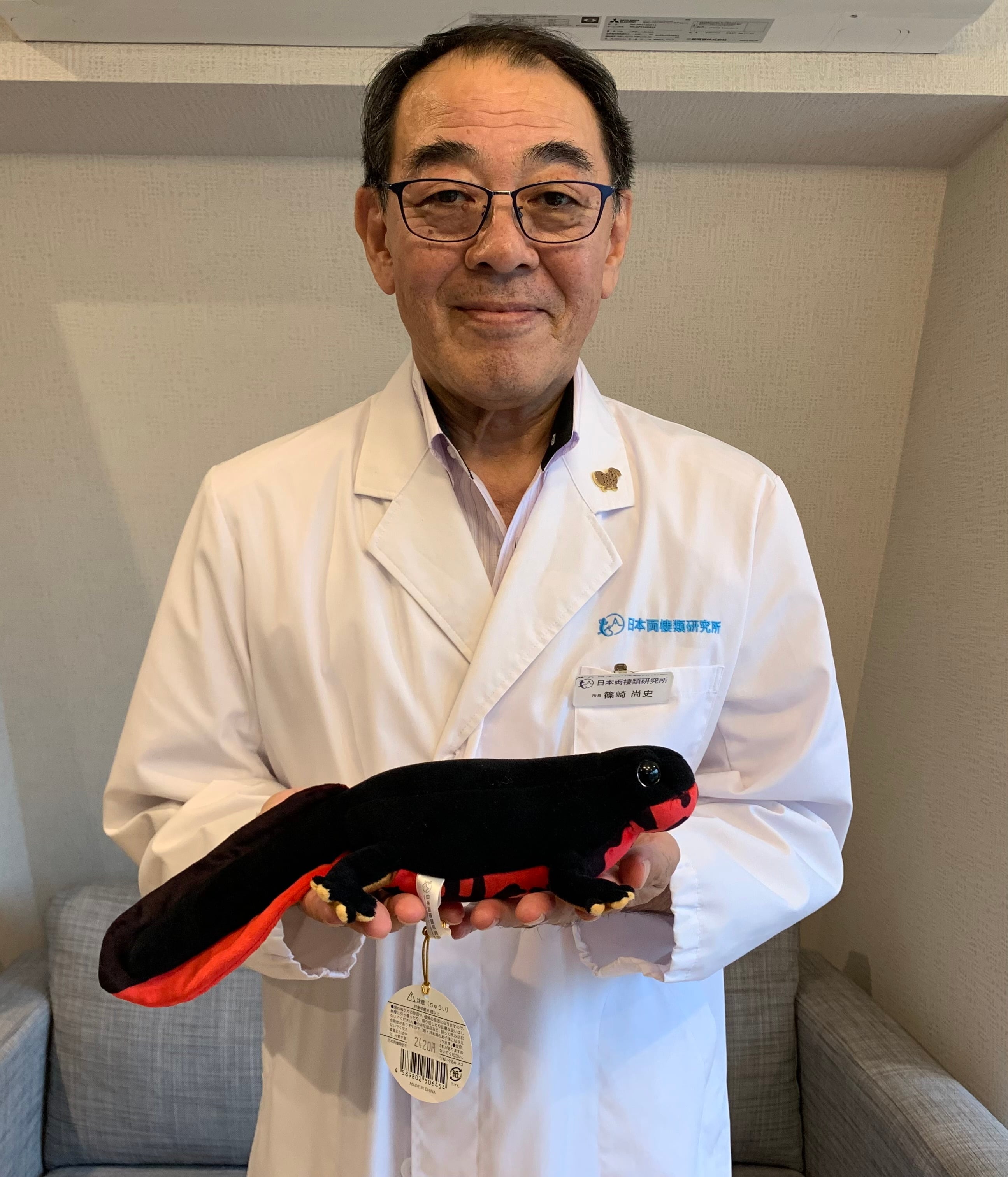 アカハライモリ オス ぬいぐるみ | 日本両棲類研究所