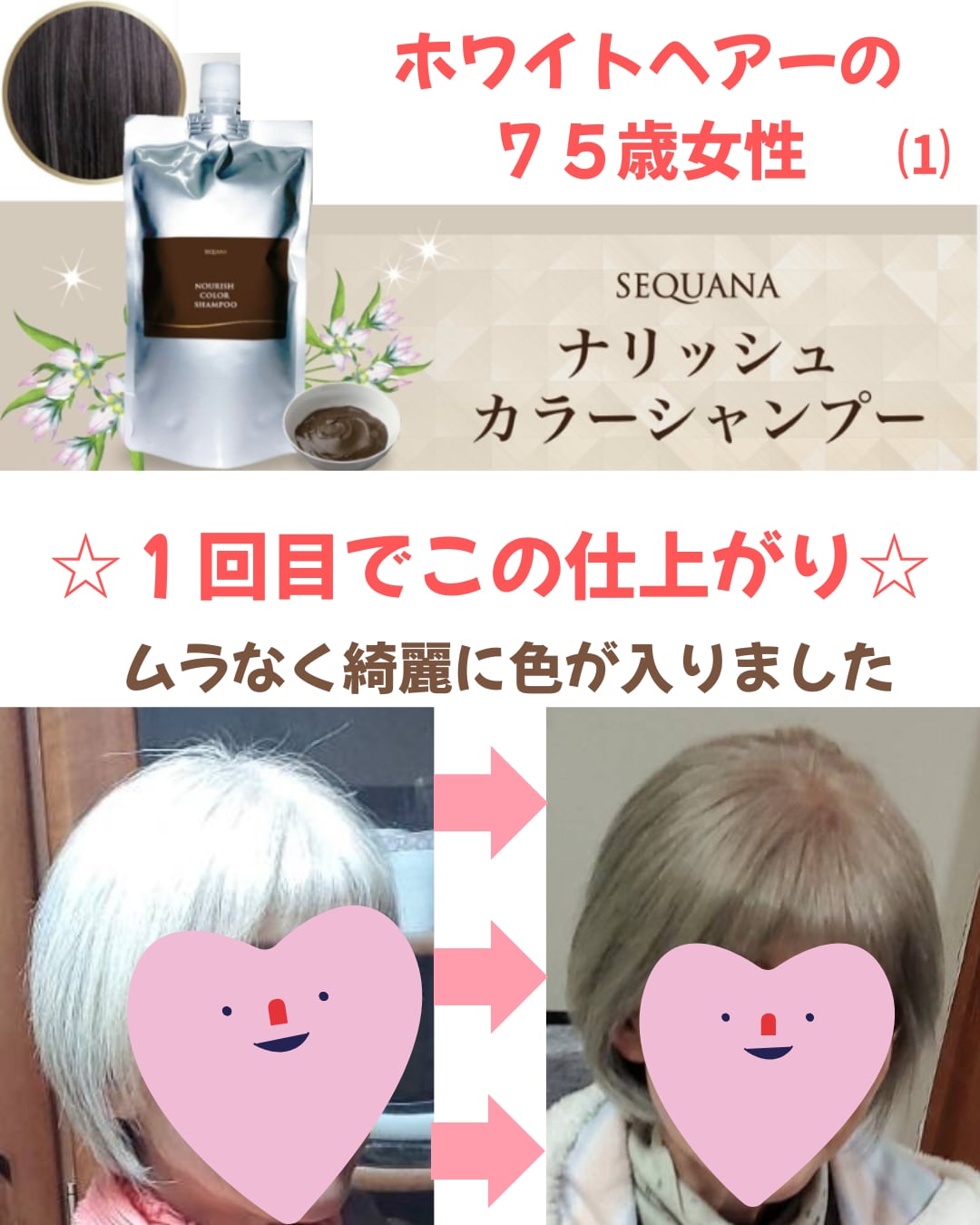 セクナー ナリッシュカラーシャンプー 300g 2個セット