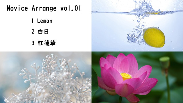 Novice Arrange（ノービス アレンジ）vol.01「Lemon」「白日」「紅蓮華」カラオケCD付楽譜