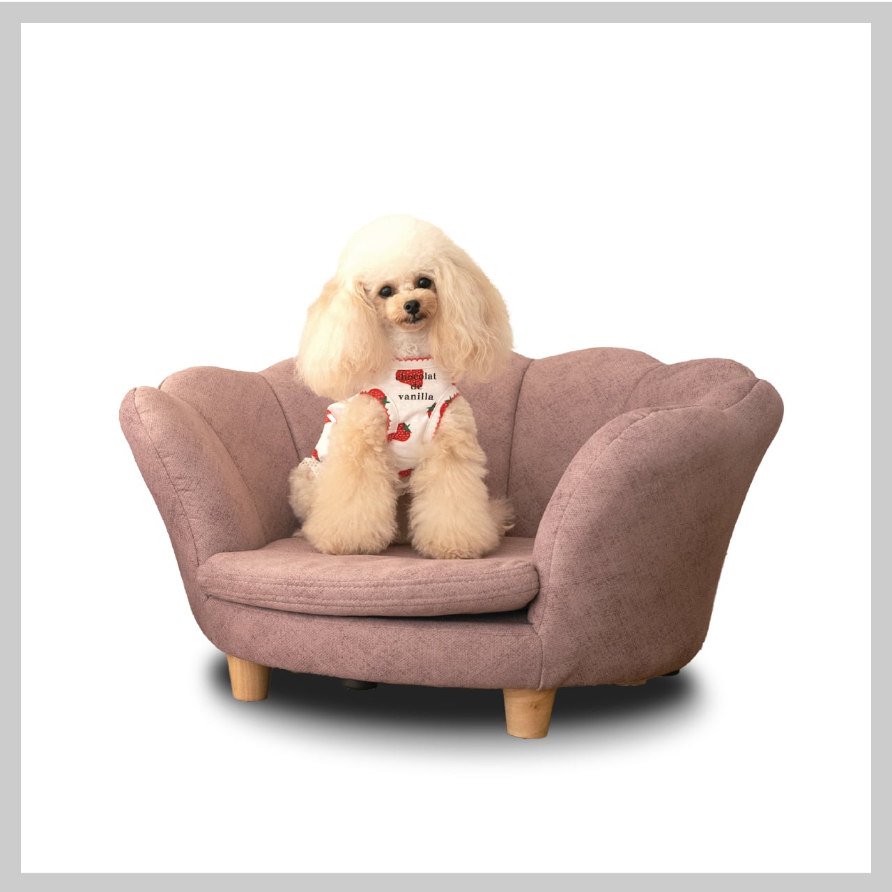 ドルチェ | Pet Salone