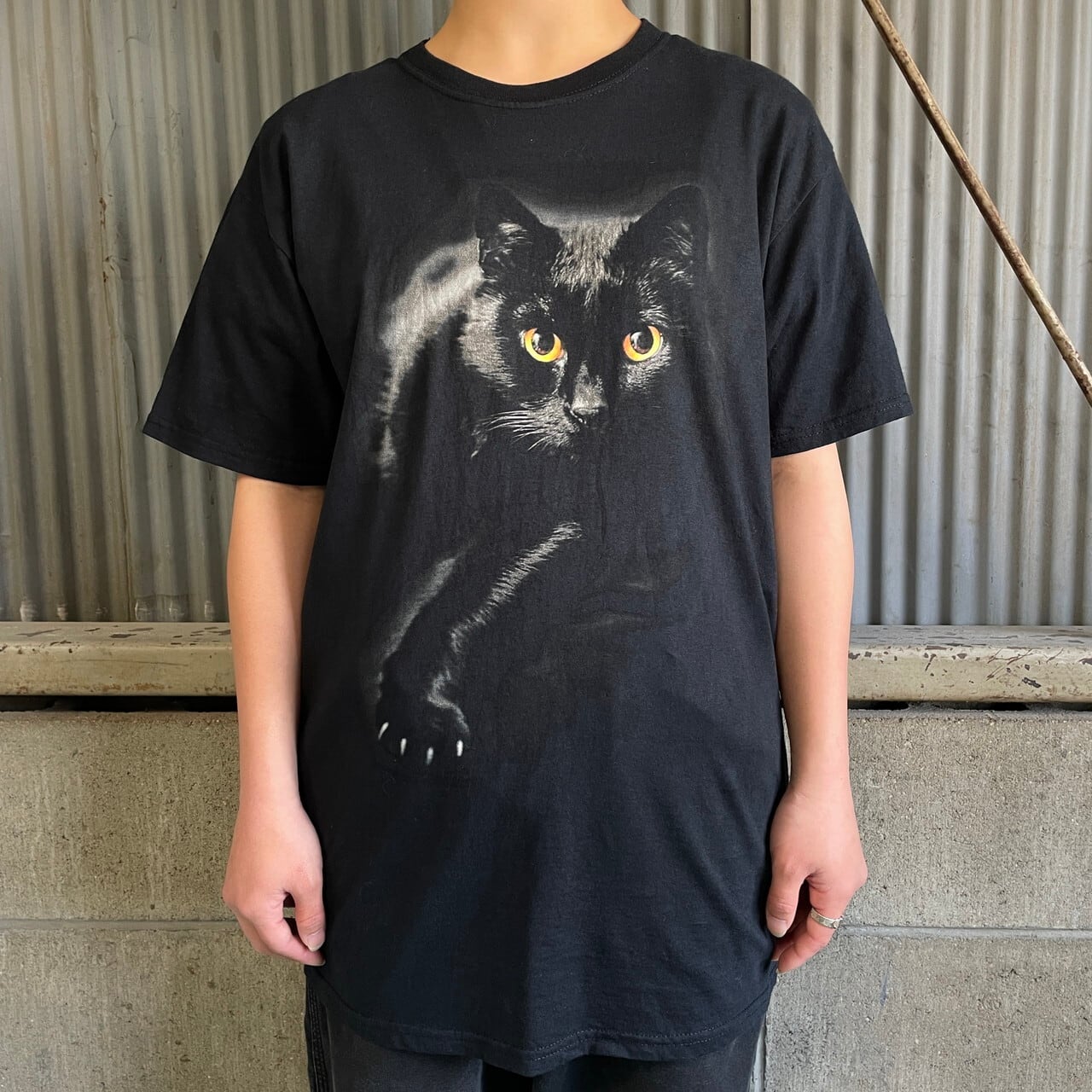 90sビンテージ◎USA製 猫Tシャツ フェード ブラック フルーツオブザルーム