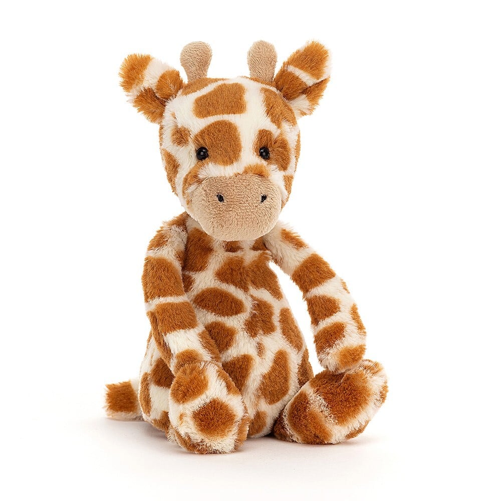 Bashful Giraffe Small_BASS6GS