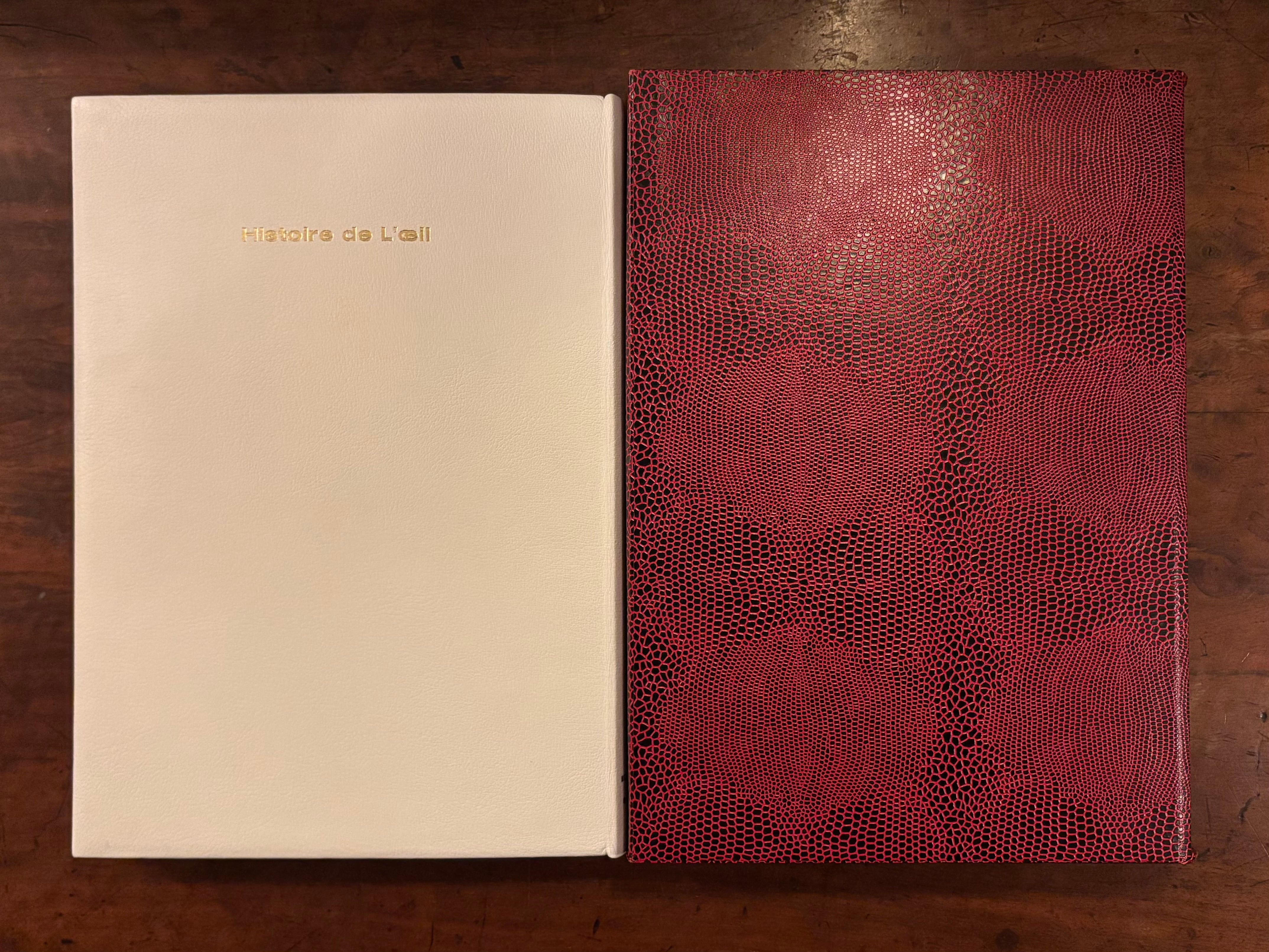 眼球譚　Histoire de L'œil　金子國義挿絵 生田耕作訳『初稿 眼球譚』特装版限定150部（刊行者旧蔵） 金子國義
