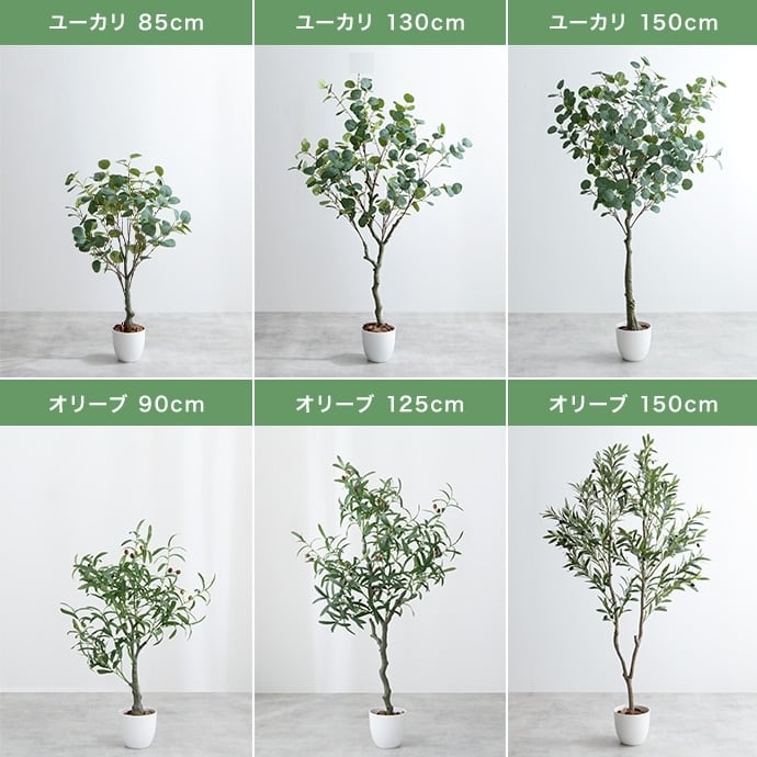 観葉植物 パキラ フェイクグリーン 光触媒人工観葉植物 高さ120cm | FIGARO