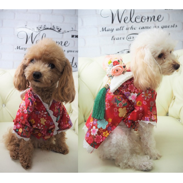 着物 P157 P158 P159 ドックウェア 紫 赤 ワンピース 和柄 和服 和装 犬 用 服 犬服 犬の服 ドッグ ウェア ドッグウエア 女の子 犬洋服 犬の洋服 洋服 小型犬 中型犬 おしゃれ かわいい 可愛い フラワー コスプレ パープル レッド