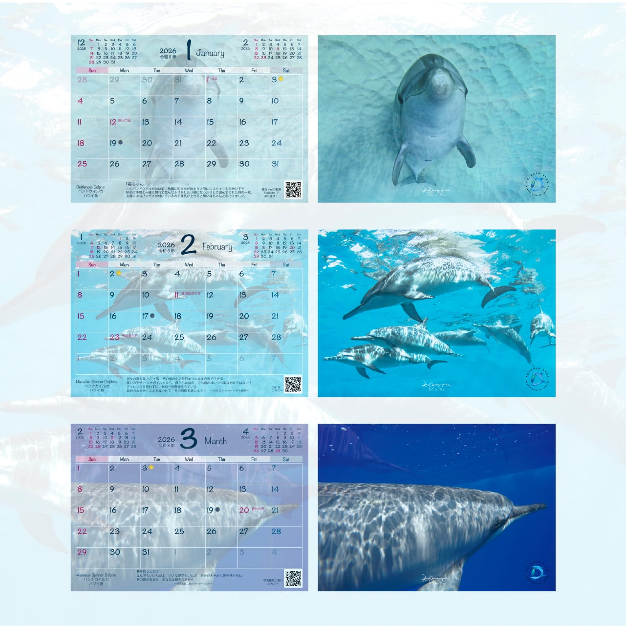 DOLPHIN EYES 2026年 カレンダー 『 Always in my Herat 』 イルカ