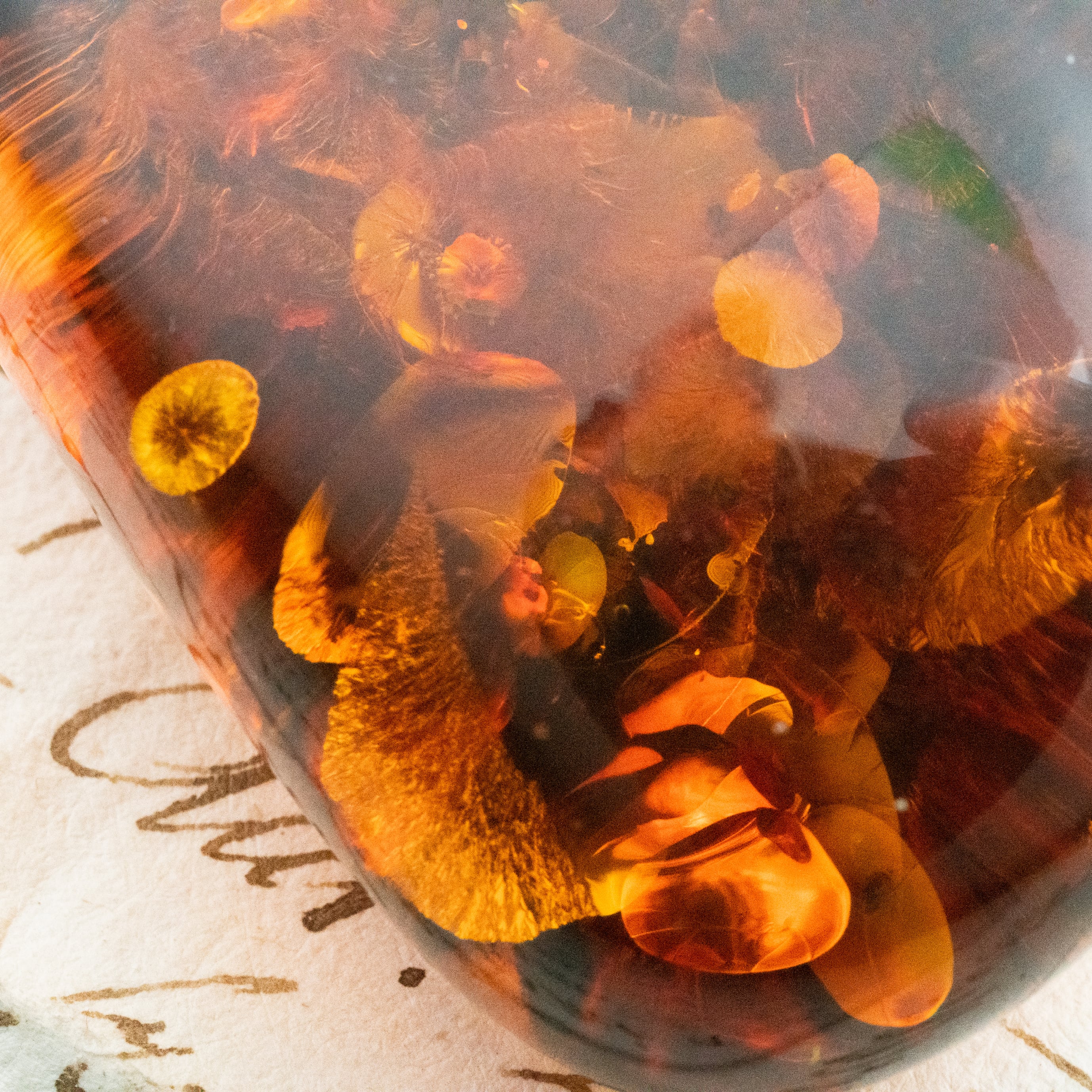 レア オール アンバー 琥珀 コハク ビーズ セミロング ネックレス