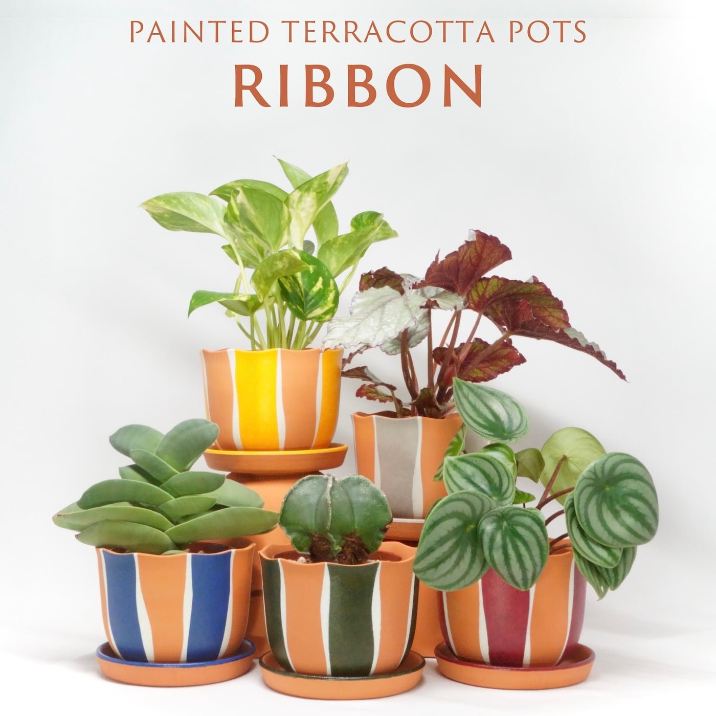 RIBBON ※受注生産